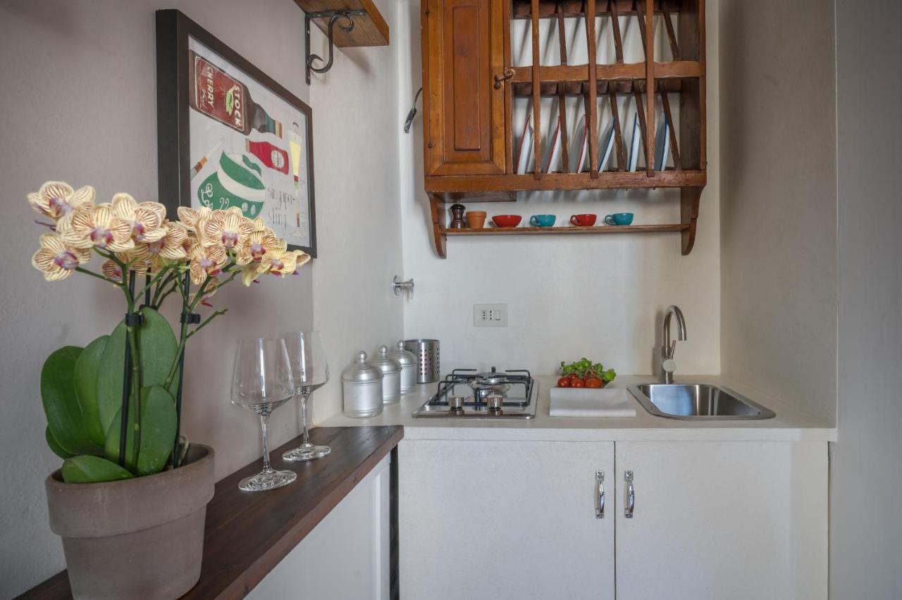 Apartamento Santo Spirito's Nest Florencia